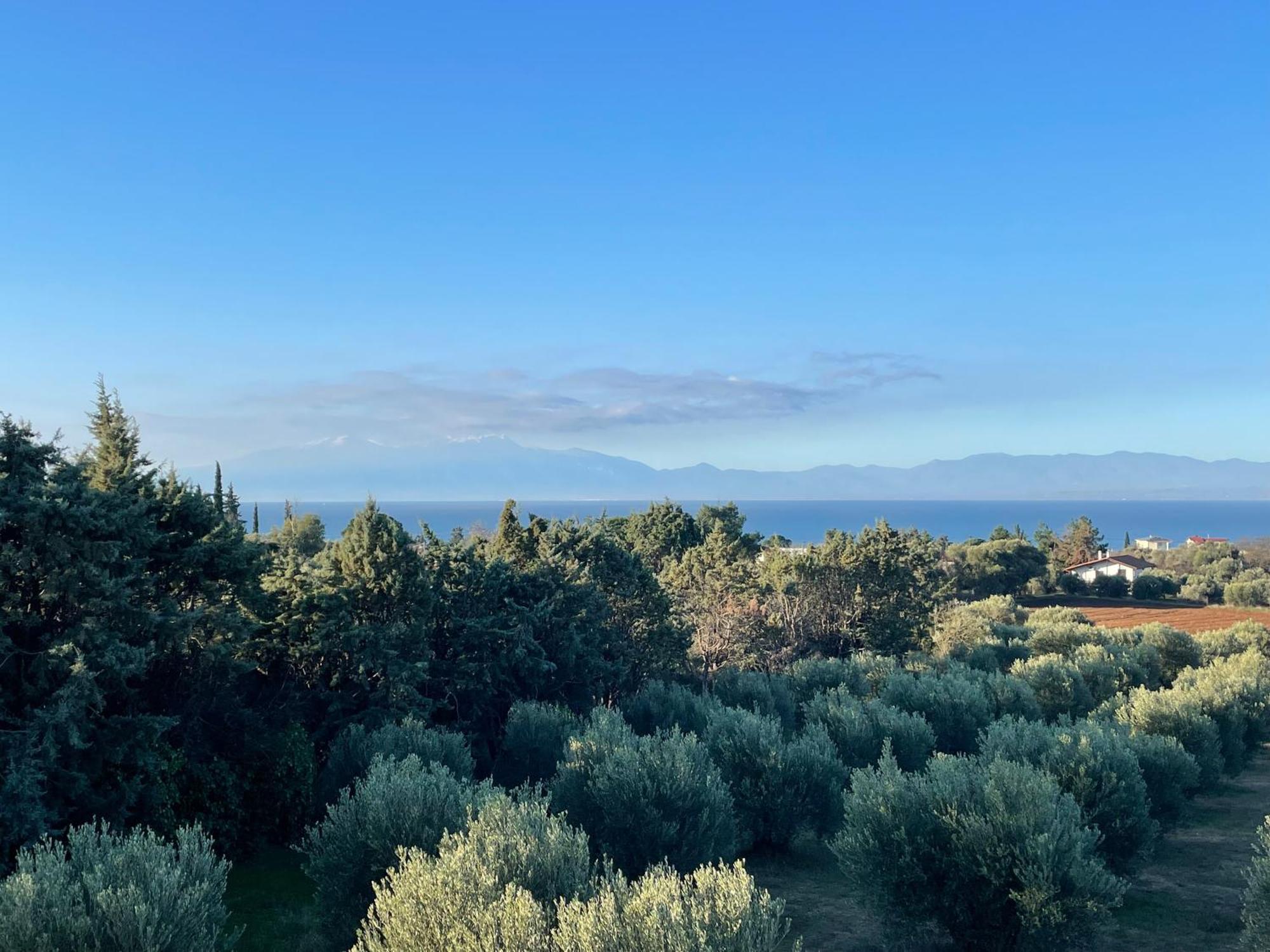 Villa Palataki *