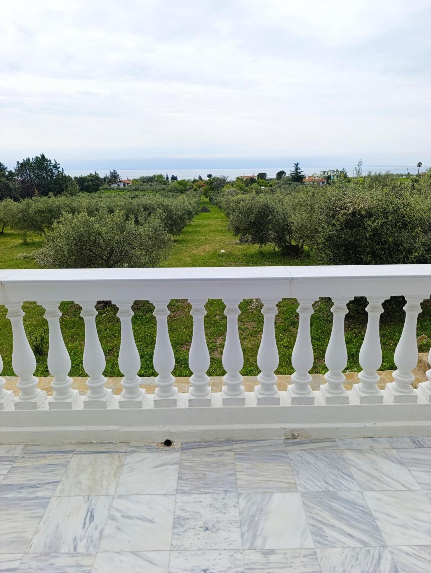 Palataki Villa *